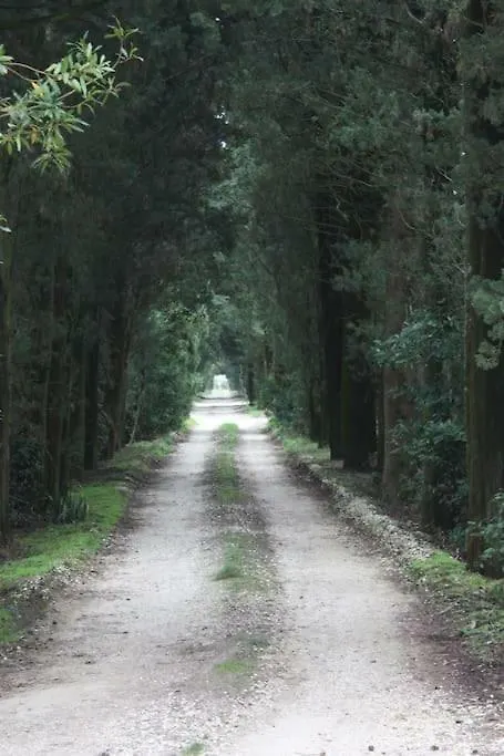 Fattoria Muricci, I Cachi - Chianti, Tuscany Villa Tavarnelle Val di Pesa